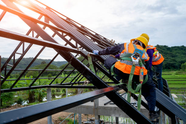 Best Storm Damage Roof Repair  in Dale, IN